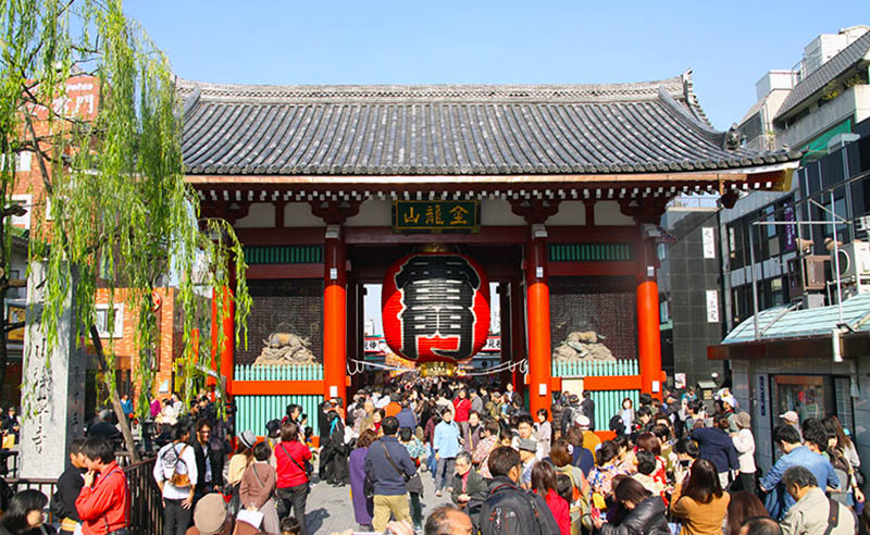 1560658291122920.jpg ty0001.jpg