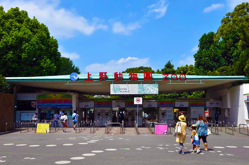 1560658981219198.jpg ty0006.jpg