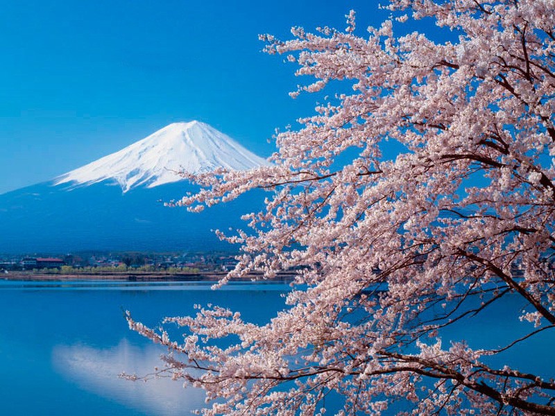 1560767467489382.jpg riben017a.jpg