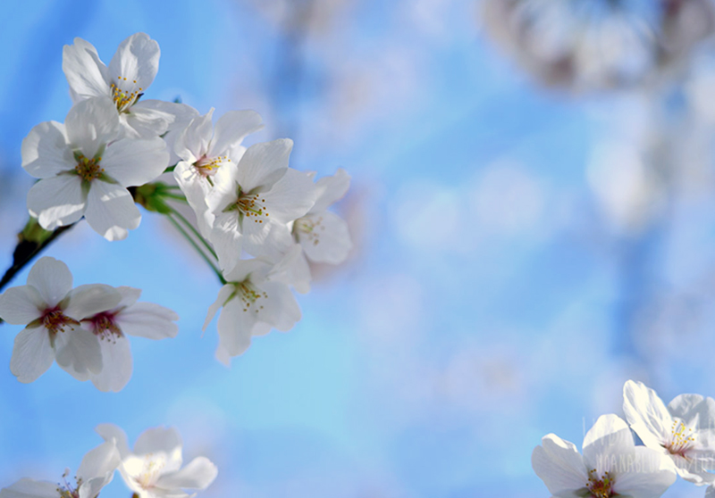 1560782148121071.jpg HUAZHUANGPIN007.jpg