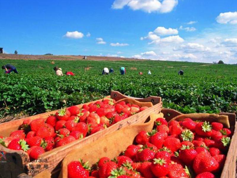 1562851865709460.jpg AODALIYAGONGZUO004.jpg