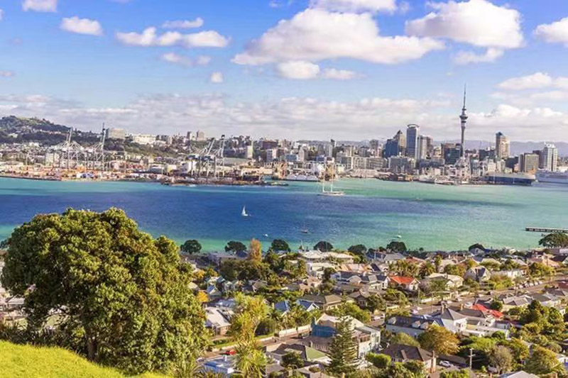 1574911700623536.jpg 20191108014.jpg