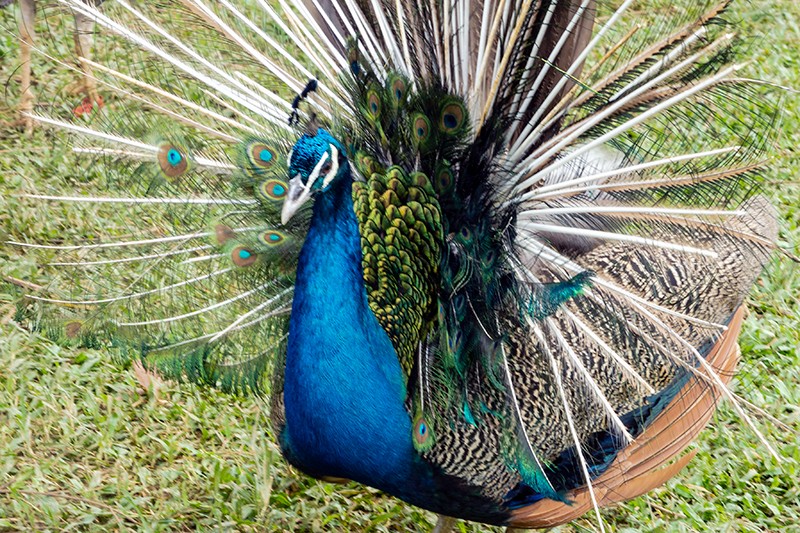 1684910700107411.jpg DSCN7301.jpg